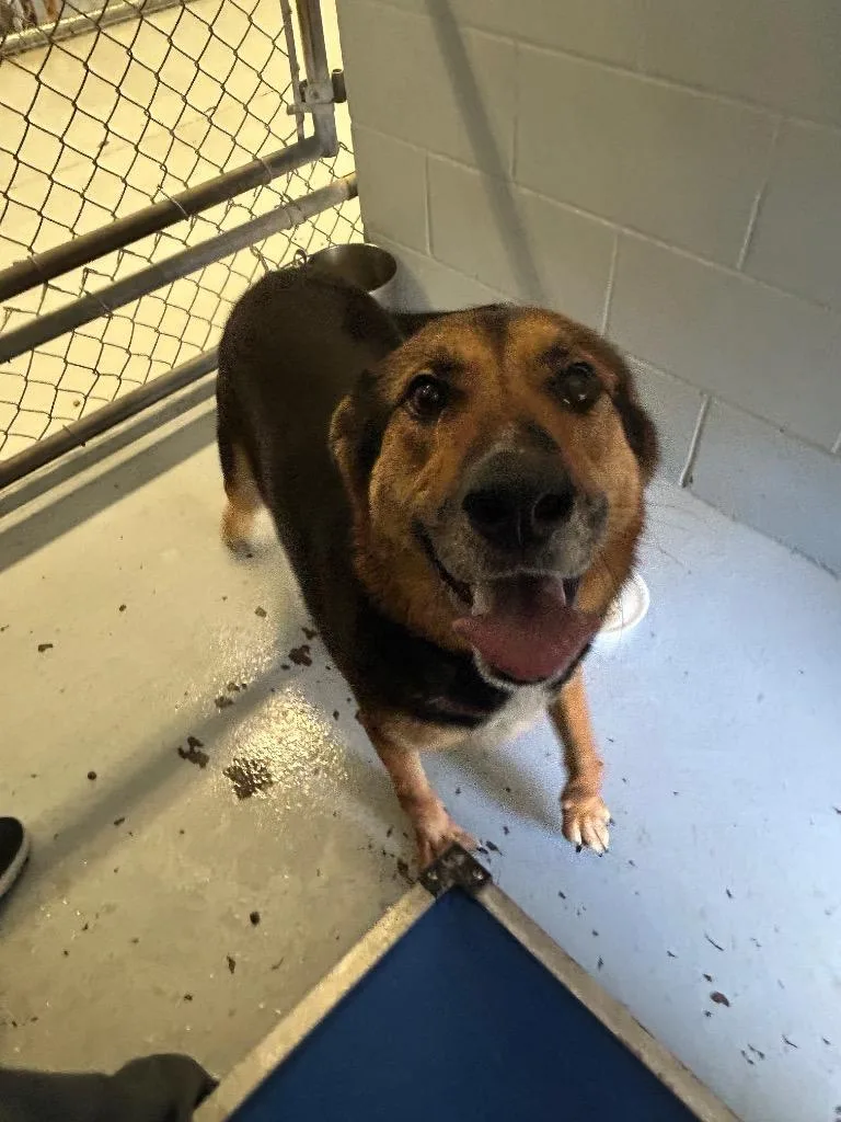 Tootsie Roll thumbnail 4