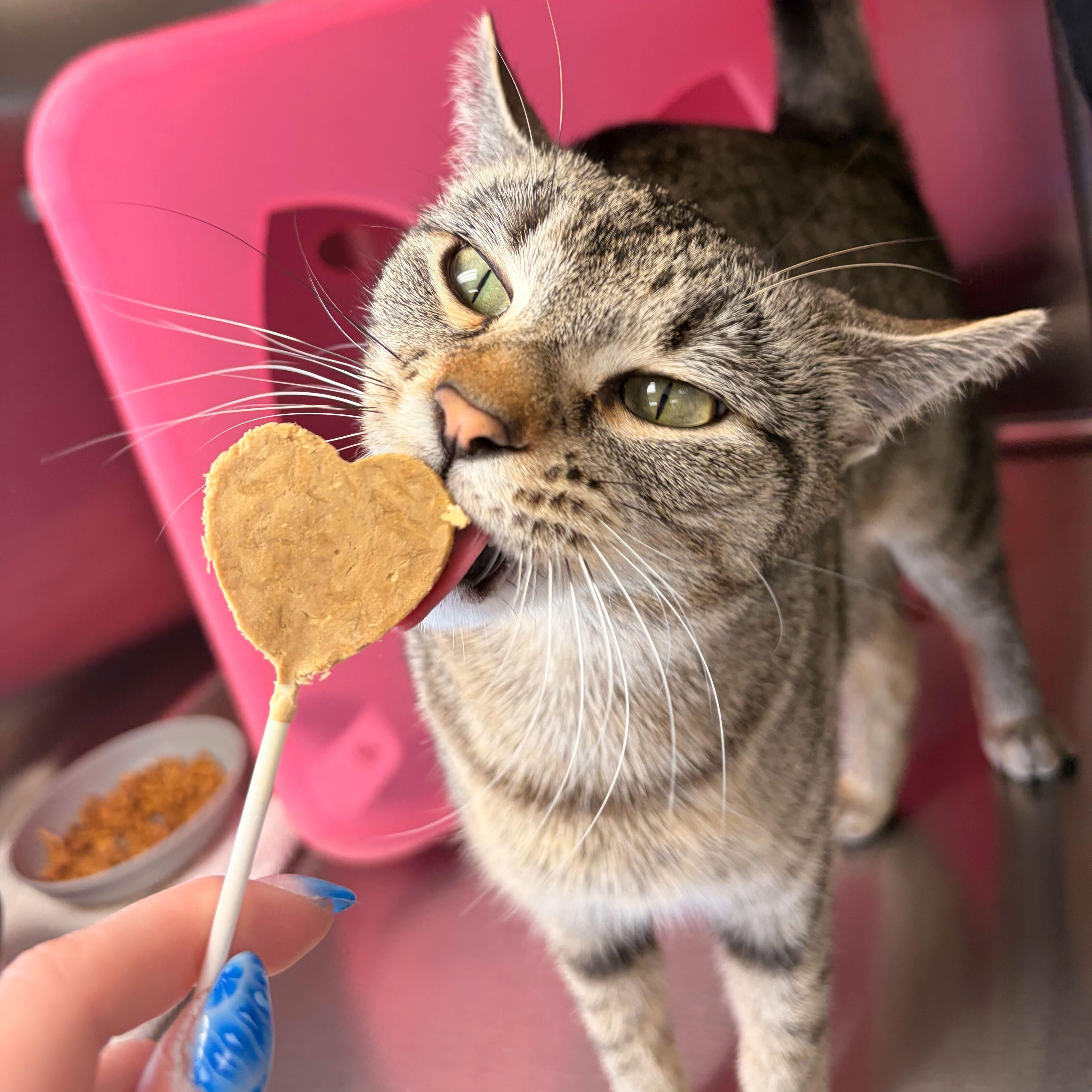 Andromeda thumbnail 2