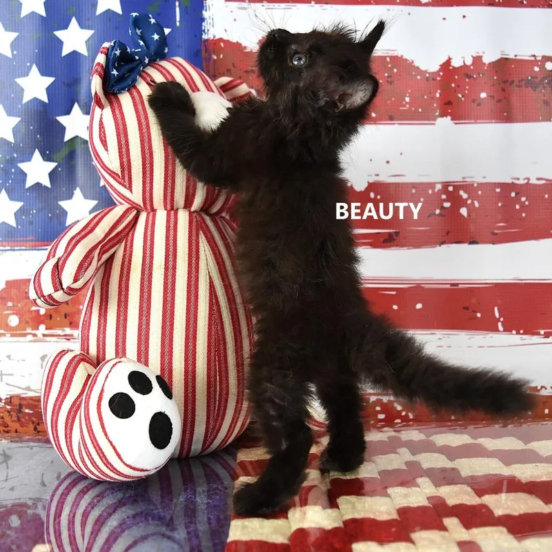 Beauty thumbnail 3