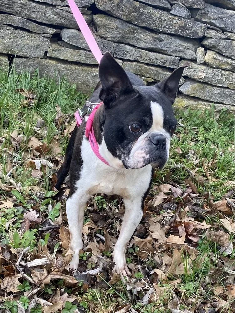 Reagan Rae Ky thumbnail 3