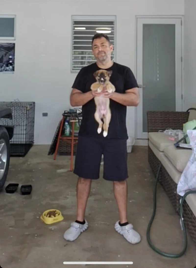 Chianti thumbnail 3