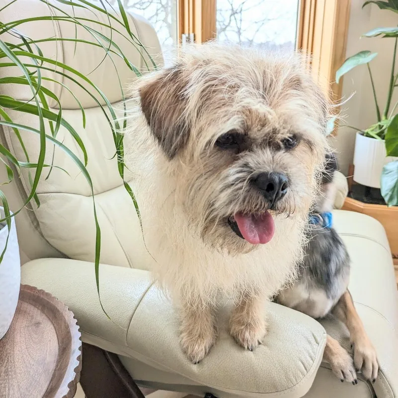 Mac Bonded To Denny thumbnail 4