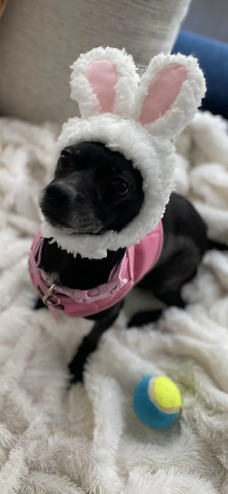 Trudy thumbnail 4
