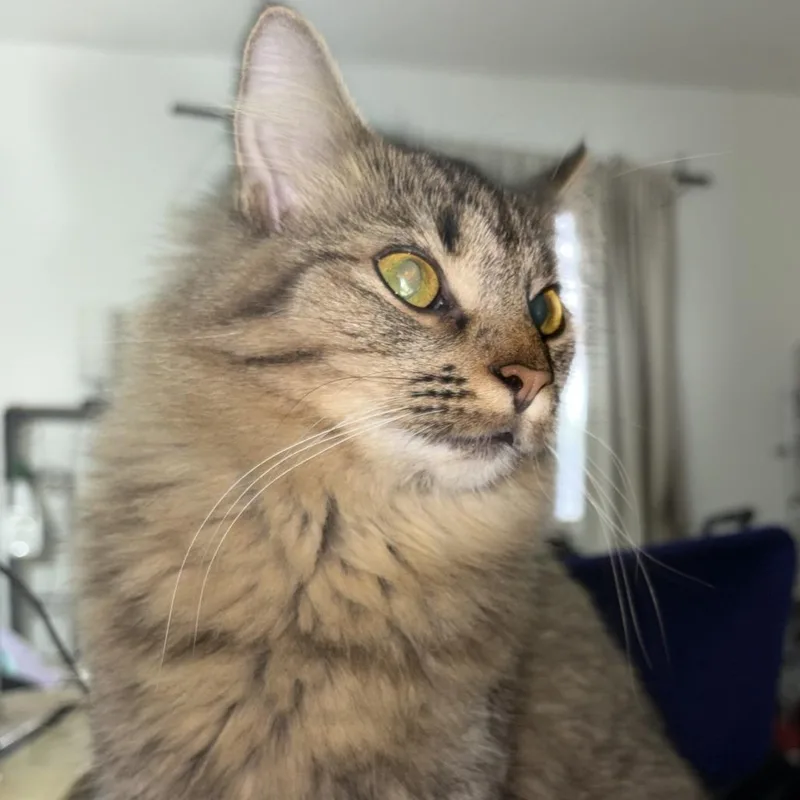 Prince  Home to thumbnail 3