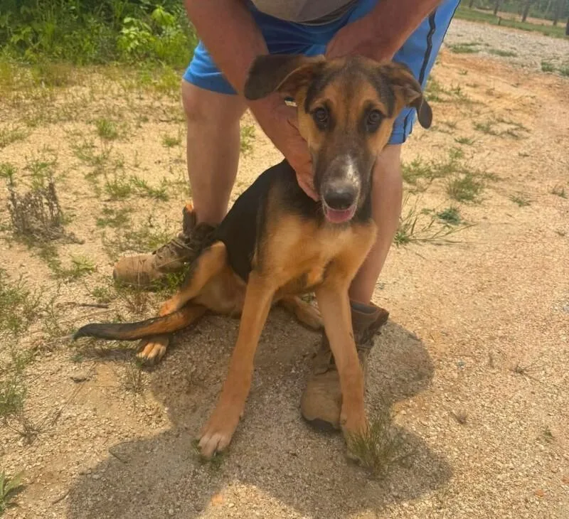 Axel