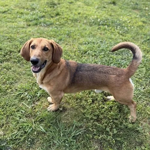 Speed Bump thumbnail 2