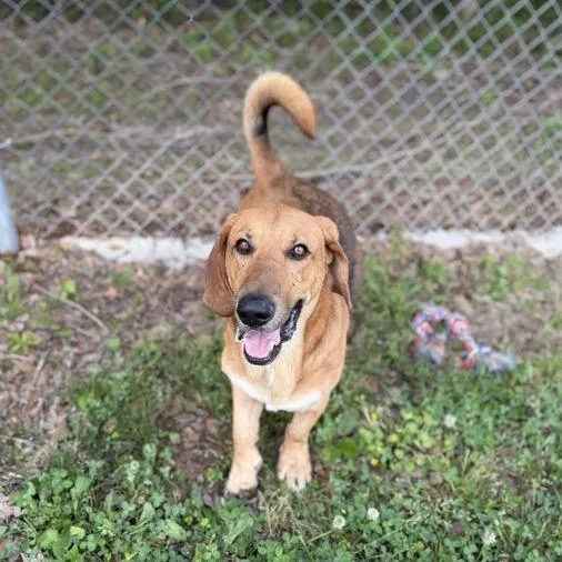 Speed Bump thumbnail 3