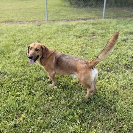 Speed Bump thumbnail 4