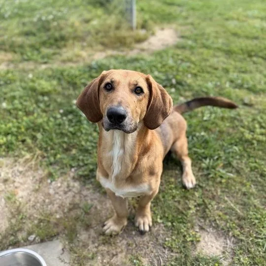 Speed Bump thumbnail 5