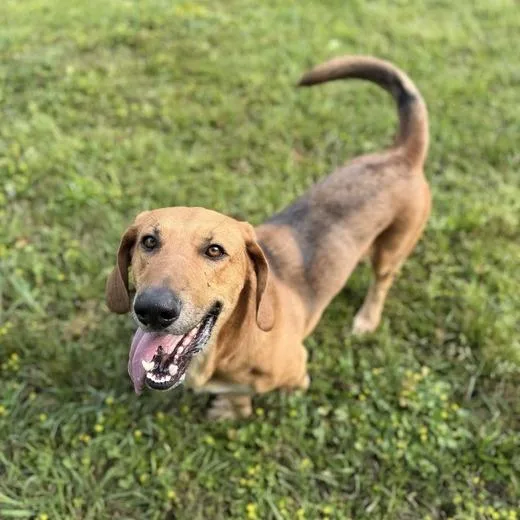 Speed Bump thumbnail 6