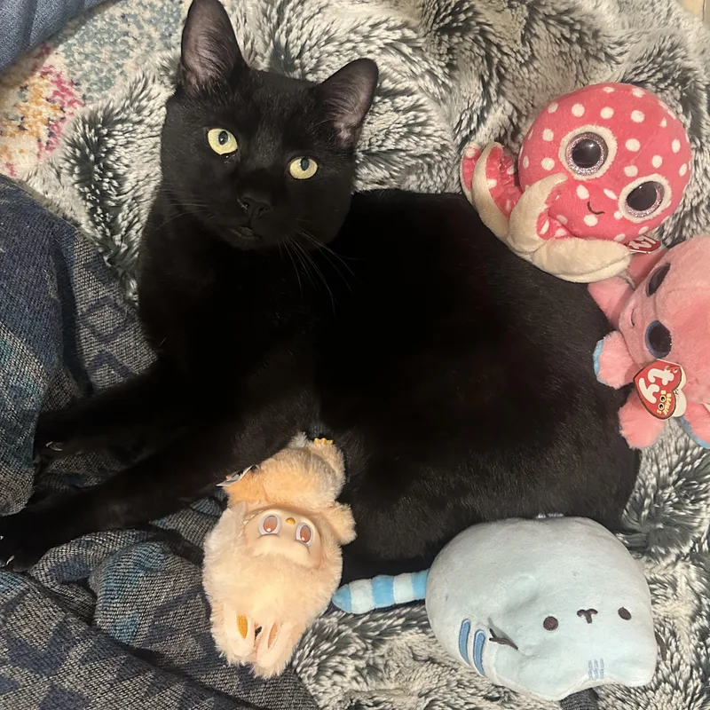 Toucan Sam thumbnail 3