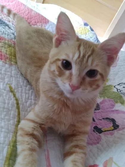 Jonathan thumbnail 2