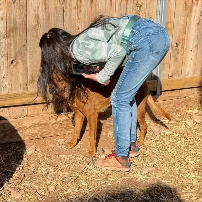 Cinnamon thumbnail 4