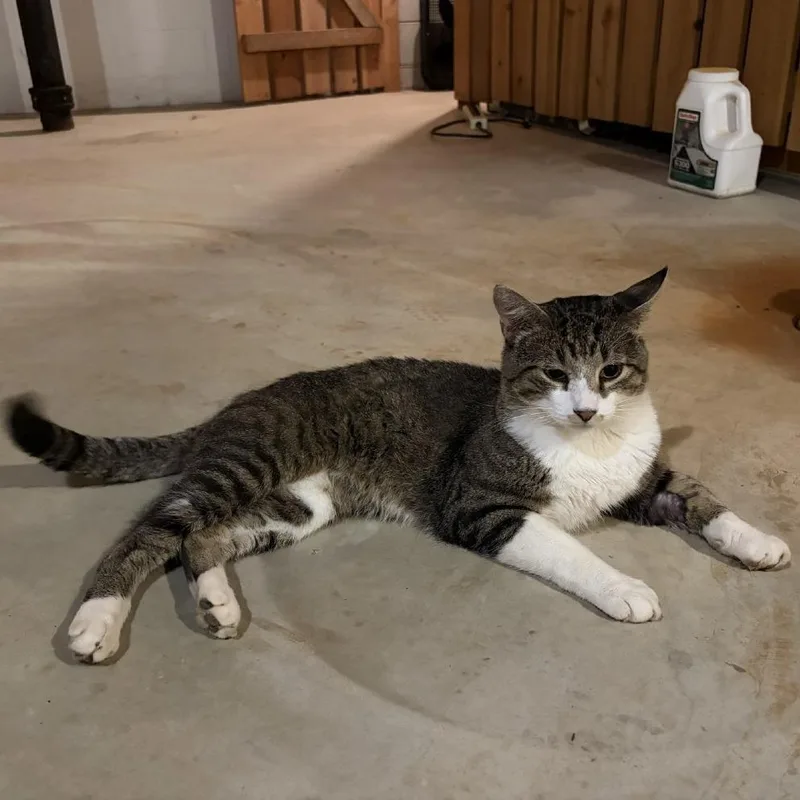 Oliver