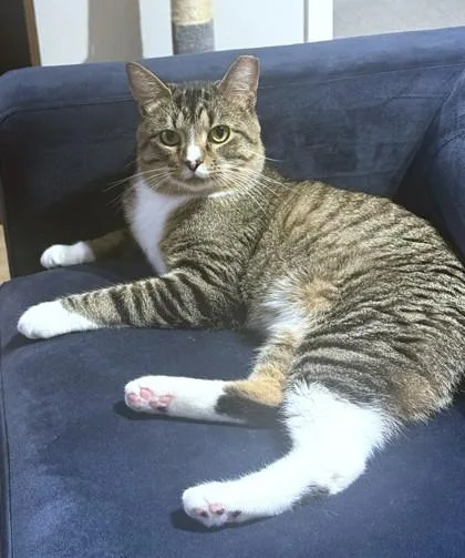 Wrangler thumbnail 2