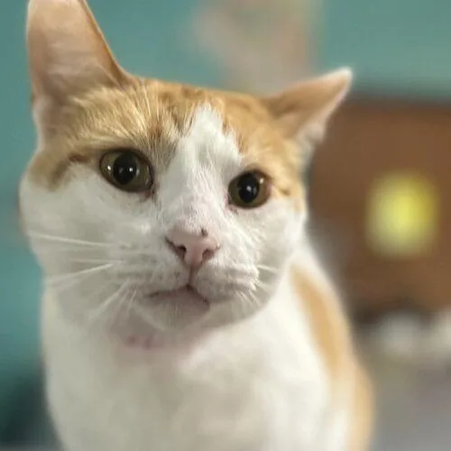 Hitchhiker thumbnail 2