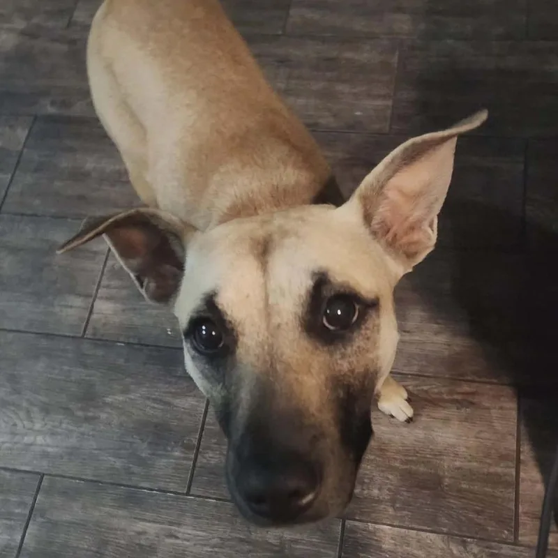 Zelie Jw thumbnail 2