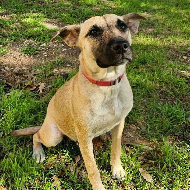 Zelie Jw thumbnail 3