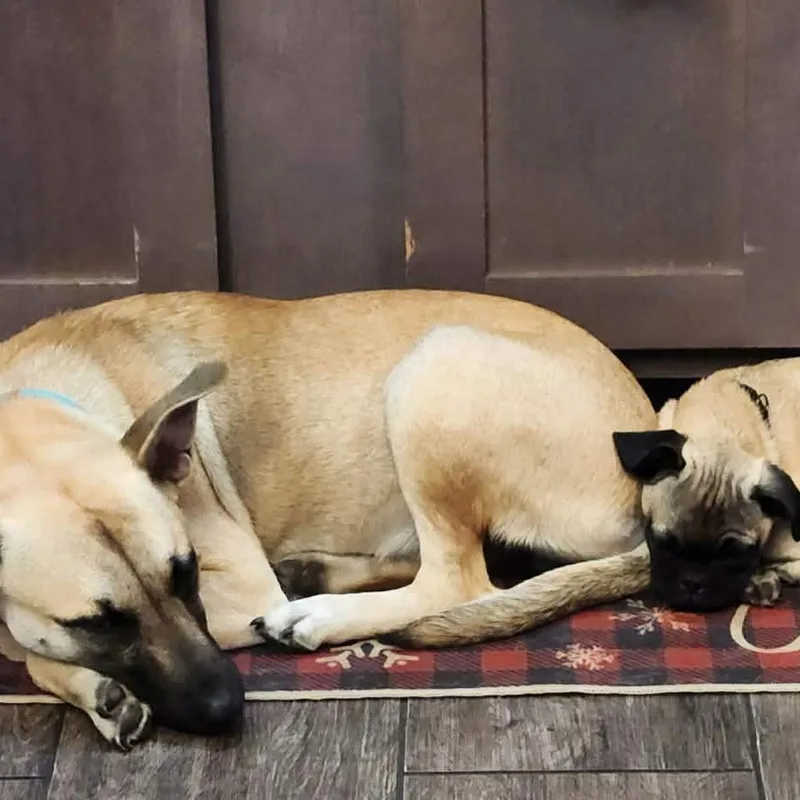 Zelie Jw thumbnail 4