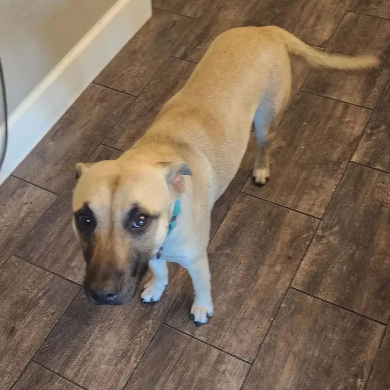 Zelie Jw thumbnail 5