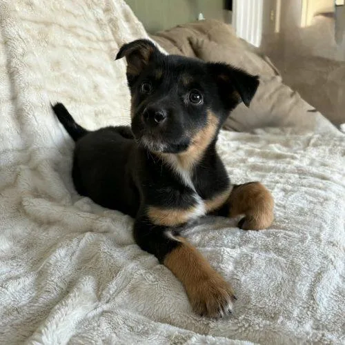 Gummybear thumbnail 2