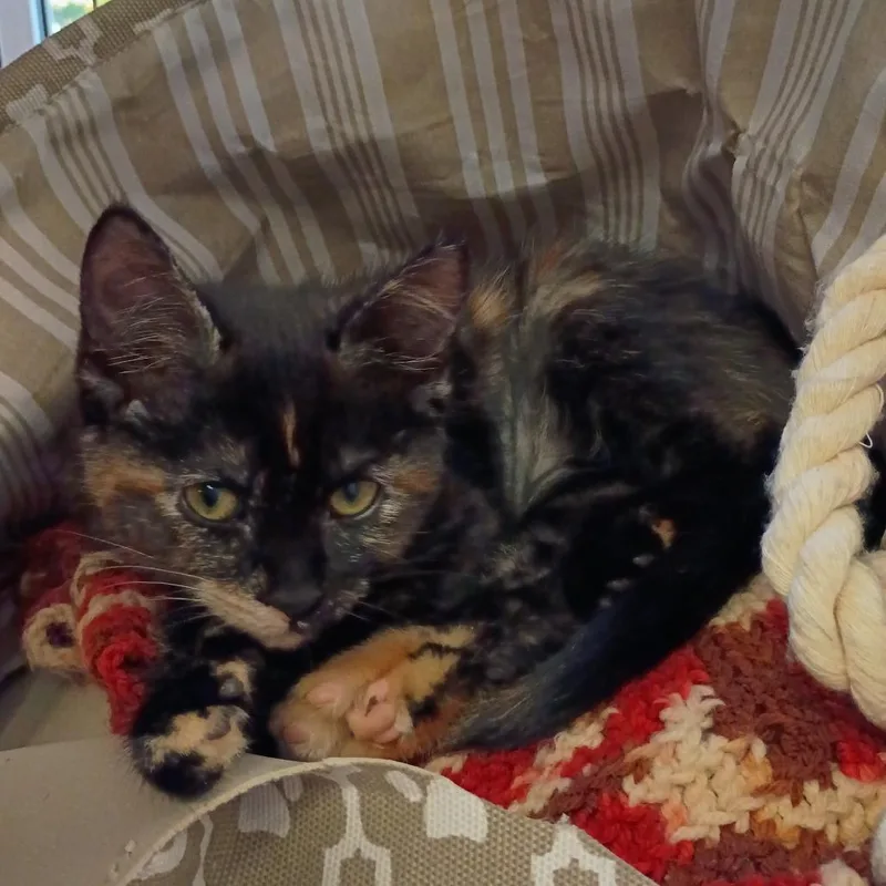 Lucy thumbnail 2