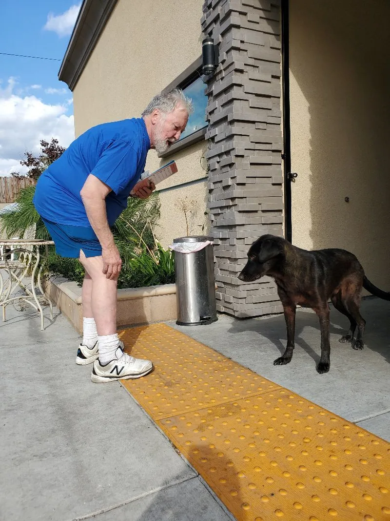 Miles Davis Lover thumbnail 2