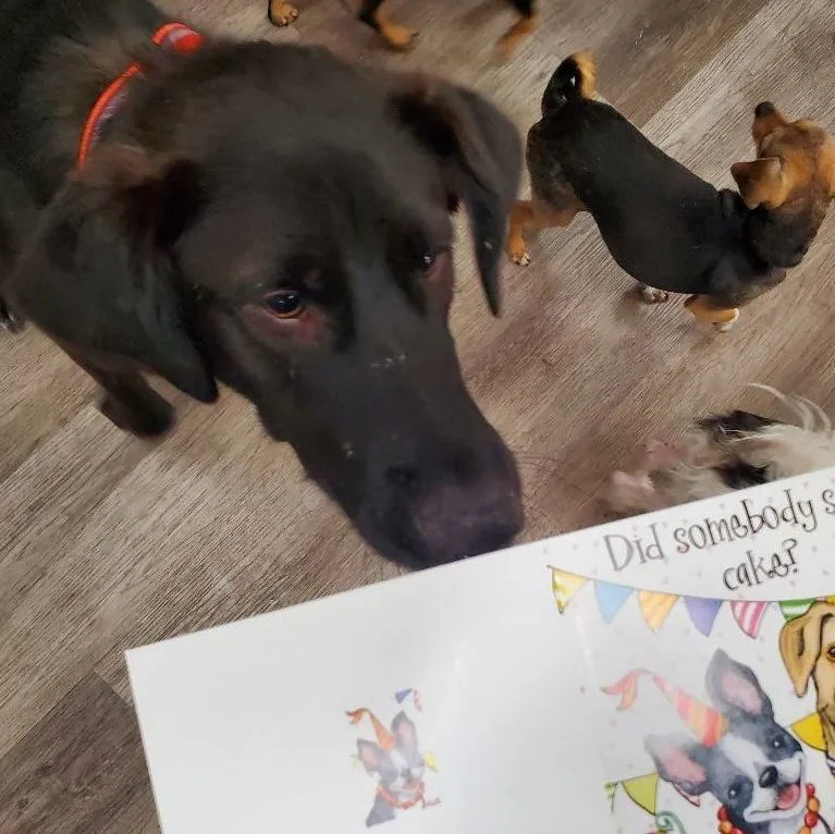 Miles Davis Lover thumbnail 3