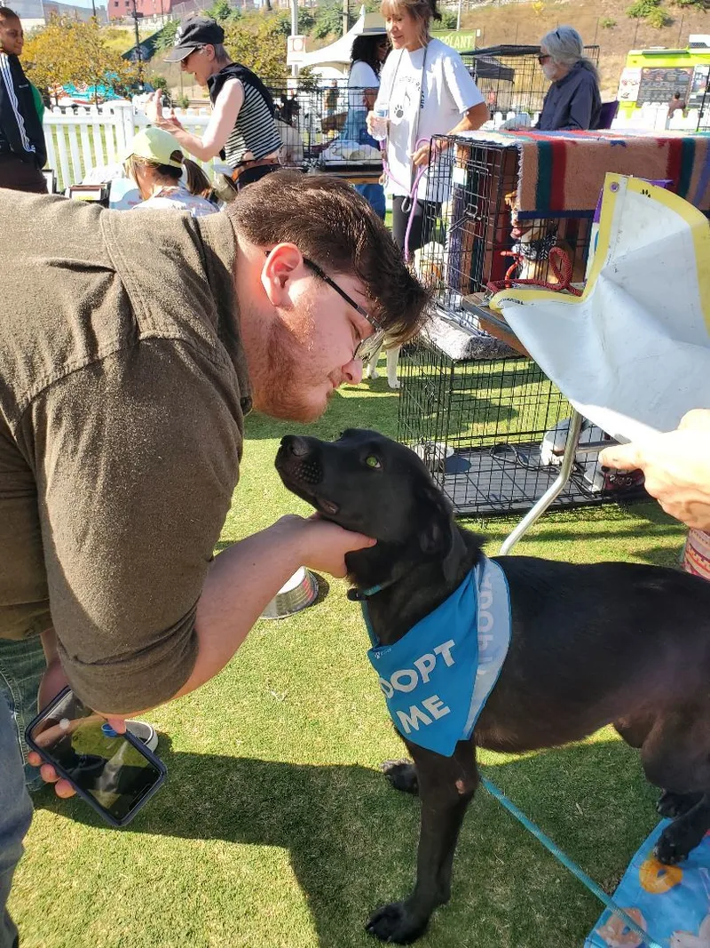 Miles Davis Lover thumbnail 6