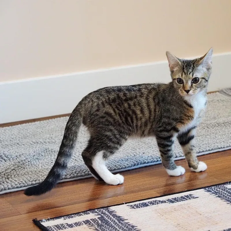 Keen  Located in thumbnail 2