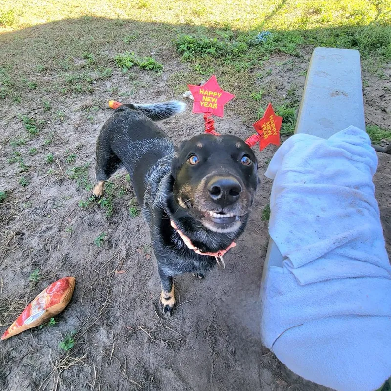 Tucker thumbnail 3