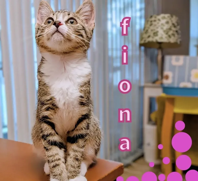 Fiona thumbnail 2