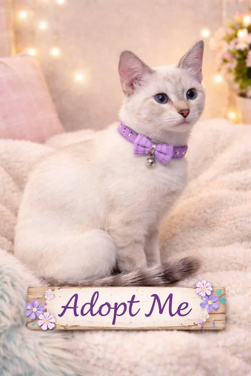 Dylan & Maddox thumbnail 2