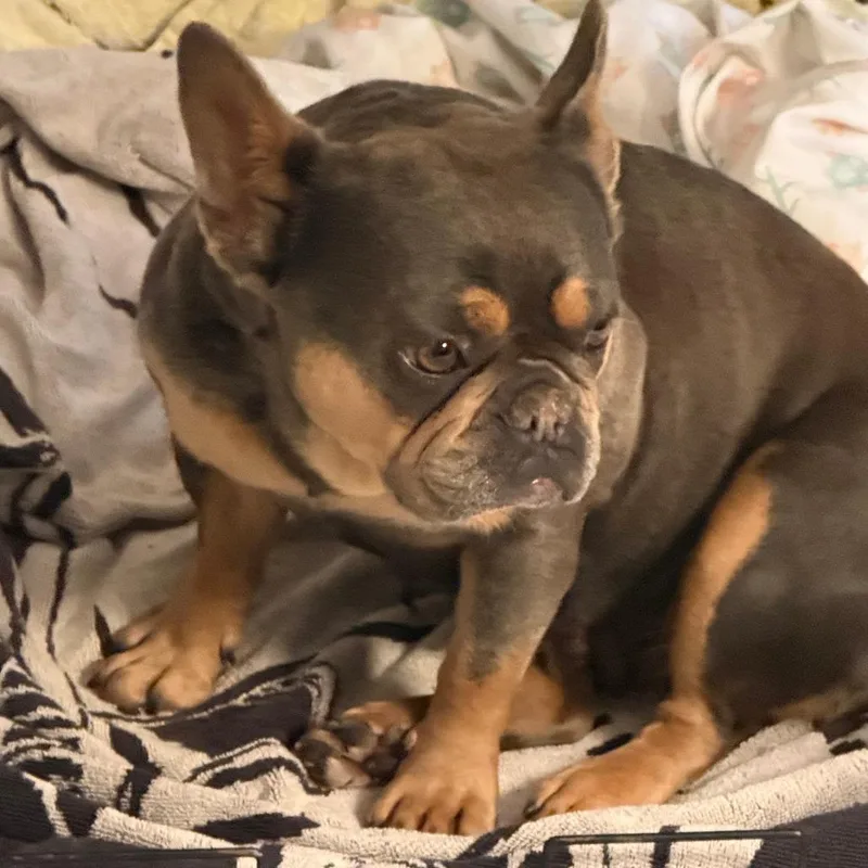 Charlotte Mae