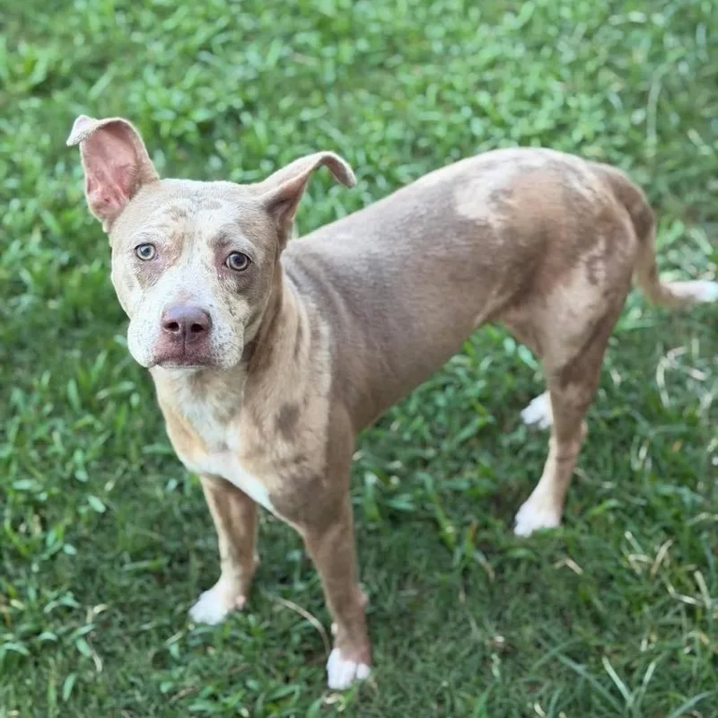 Chloe