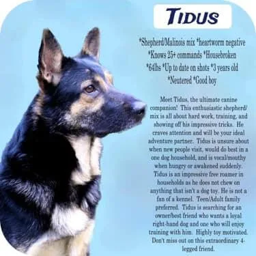 Tidus thumbnail 4