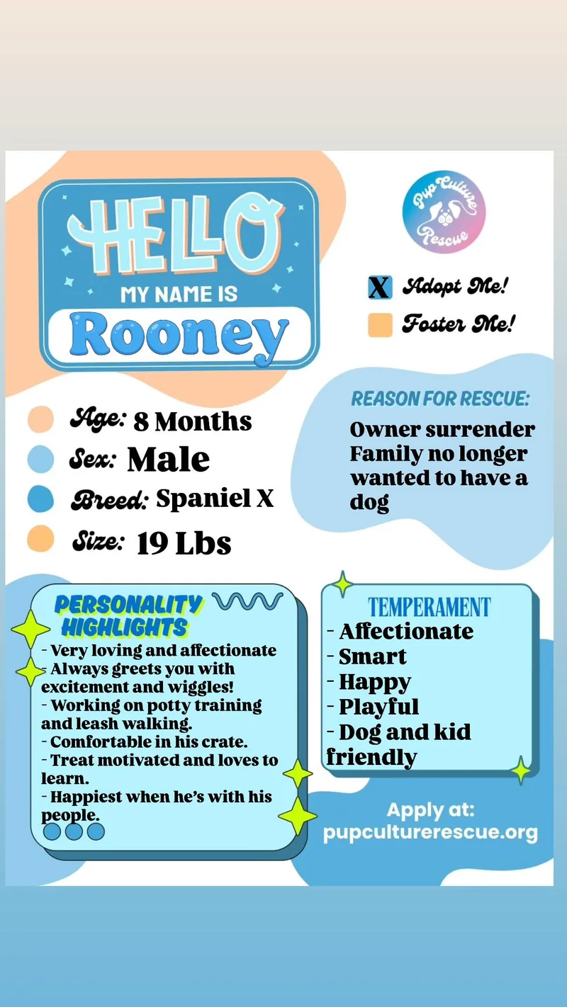 Rooney thumbnail 2