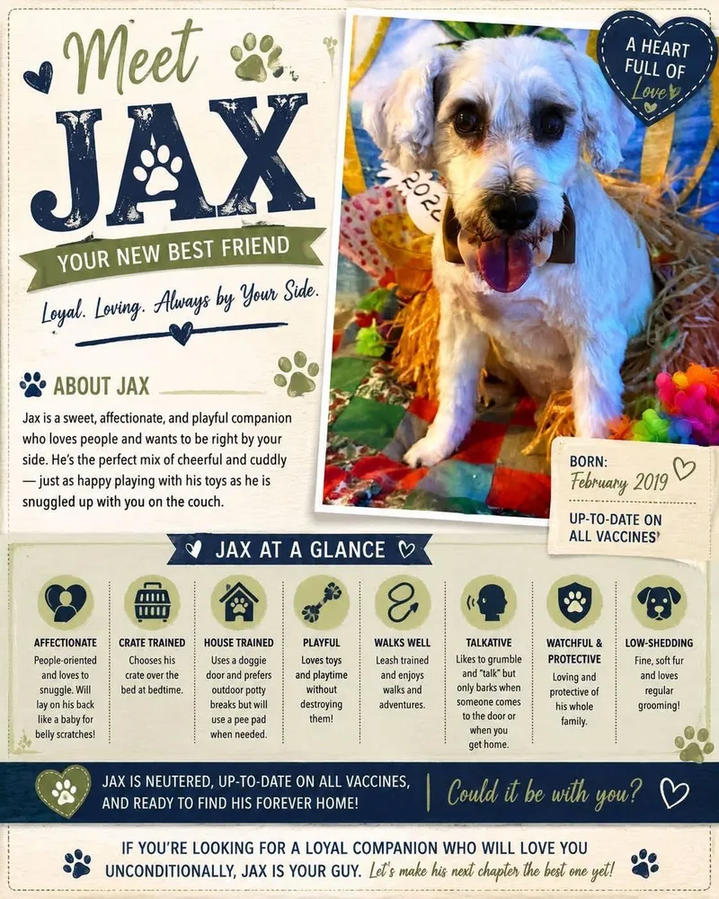 Jax thumbnail 3