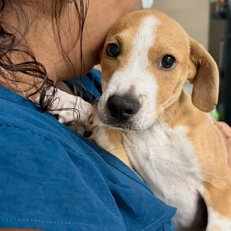 Anchor thumbnail 3