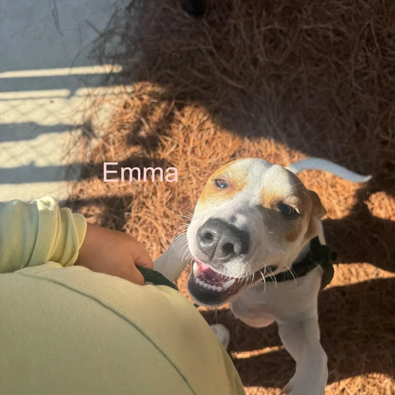 Emma