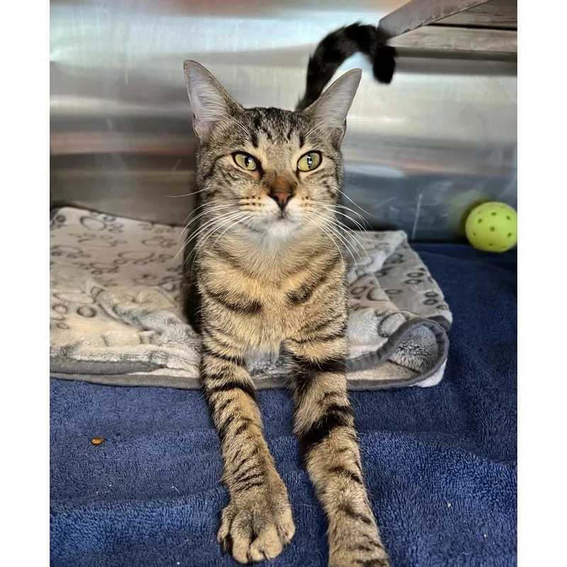 Judge Anderson thumbnail 2