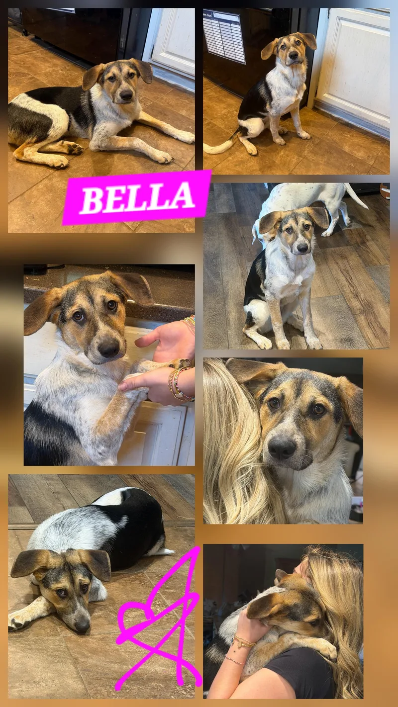 Bella
