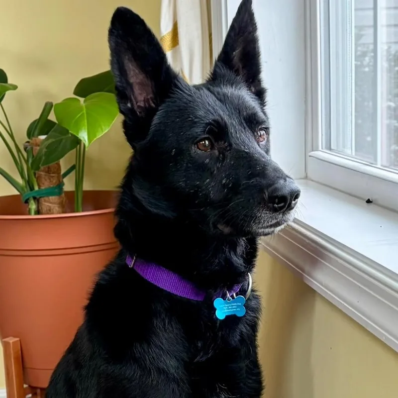 Scrabble thumbnail 3