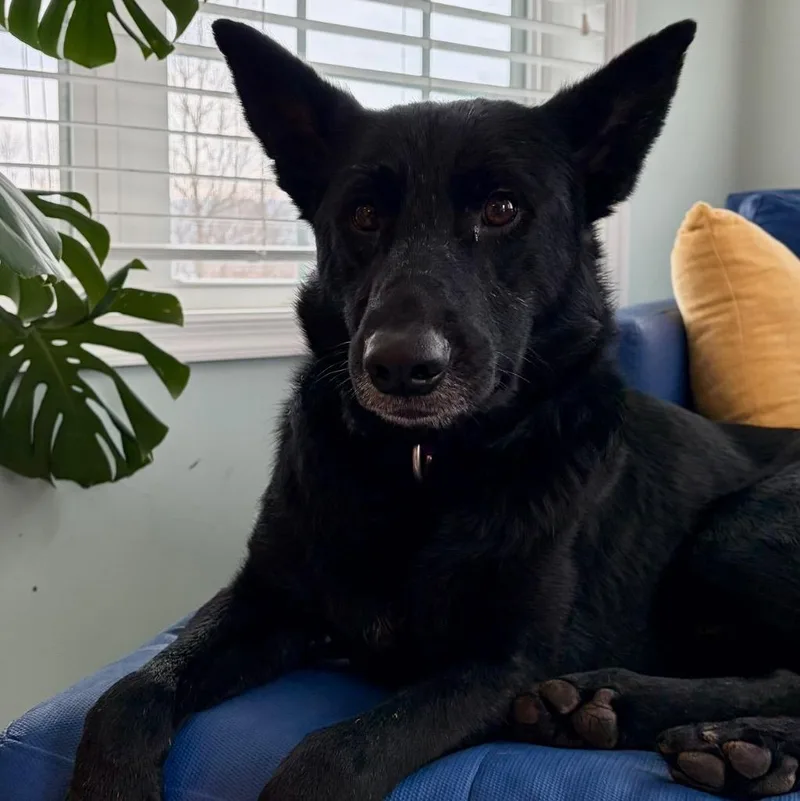 Scrabble thumbnail 4