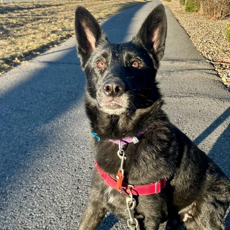 Scrabble thumbnail 6