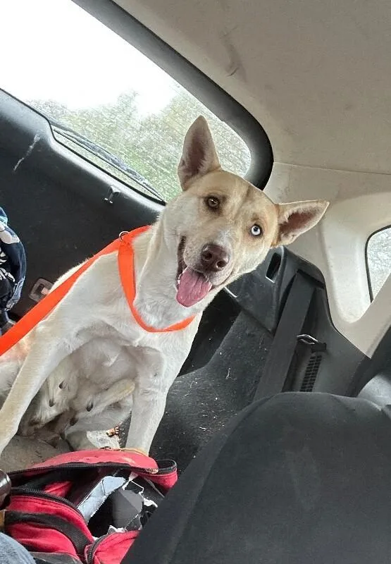 Ziva Aka Ilene thumbnail 2