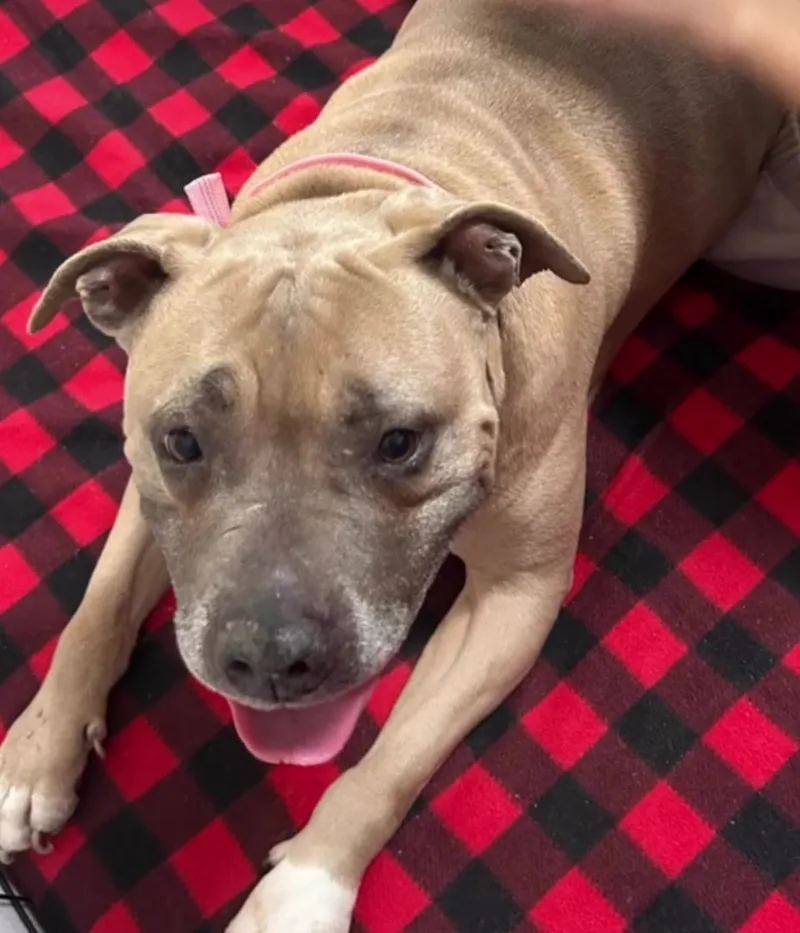 Sweet Penny Girl! thumbnail 2