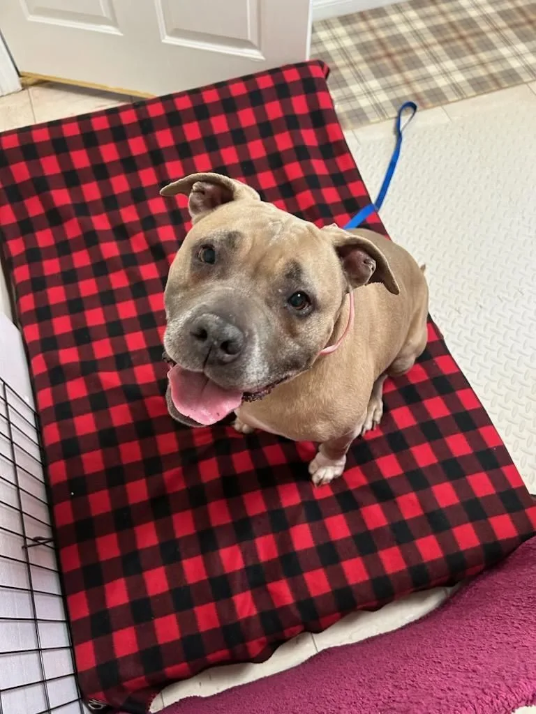 Sweet Penny Girl! thumbnail 4