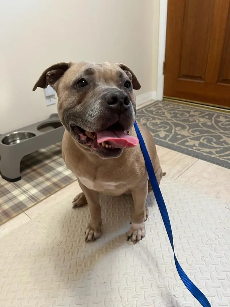 Sweet Penny Girl! thumbnail 5