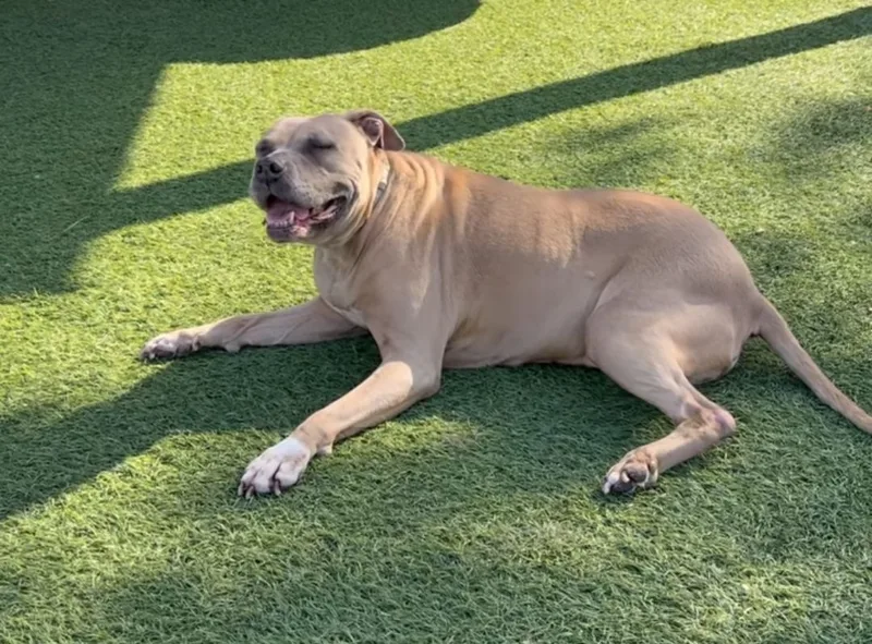 Sweet Penny Girl! thumbnail 6